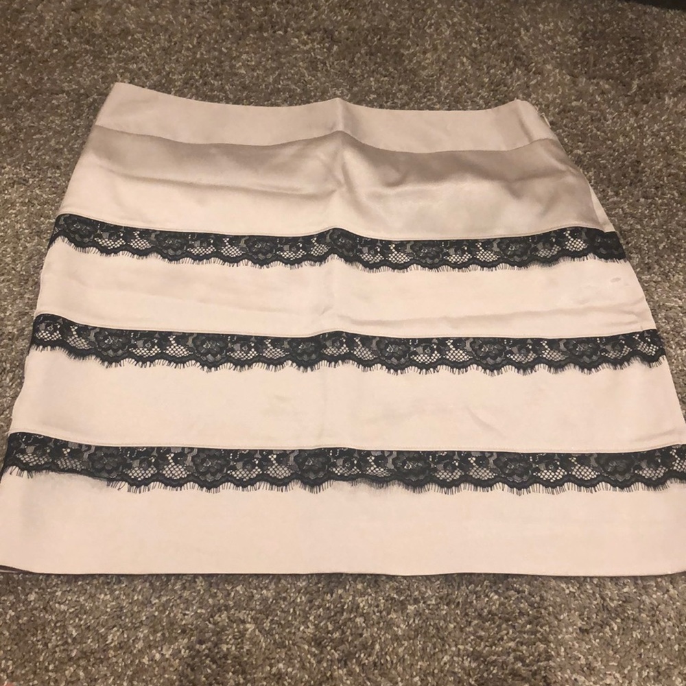 NWOT The Limited Champagne A-line Skirt with lace